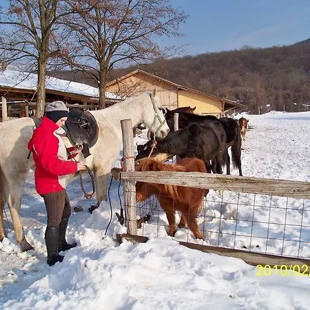 Séjour à la ferme Kelemen Majorsag Panzio